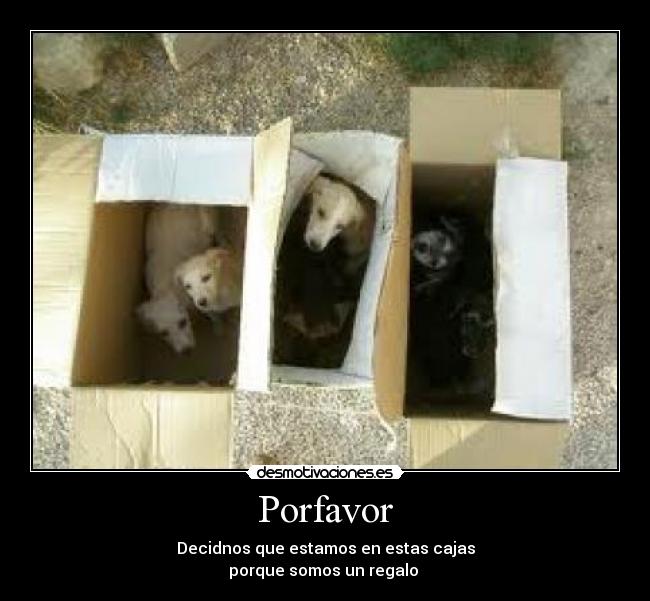 Porfavor -