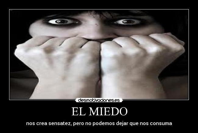 carteles miedo miedo sensatez desmotivaciones