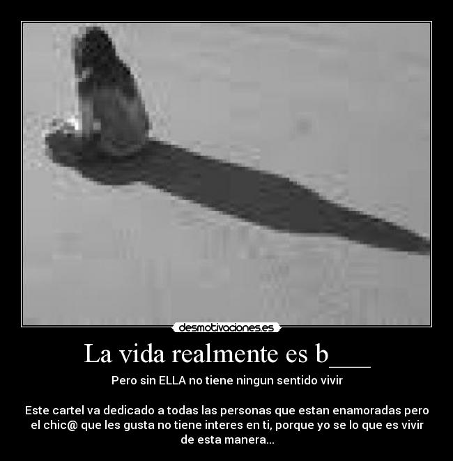 carteles vida ellaaaaa desmotivaciones