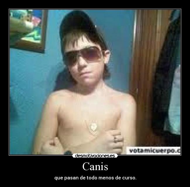 Canis -