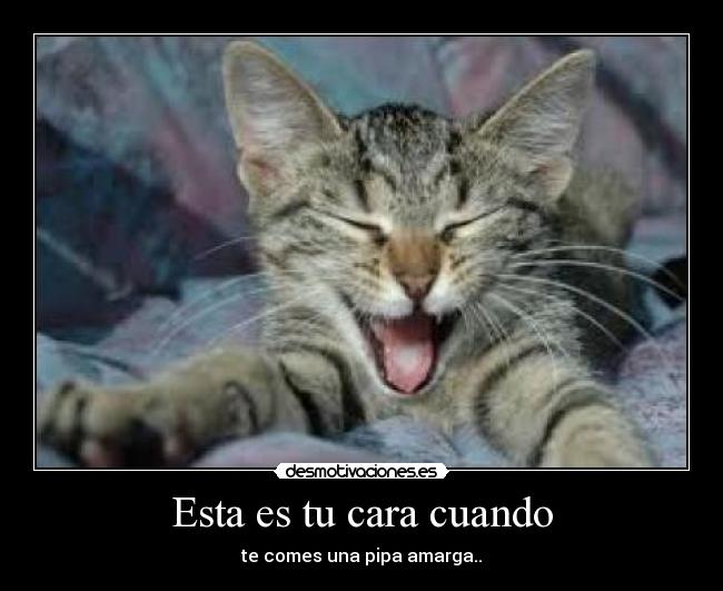 Esta es tu cara cuando - 
