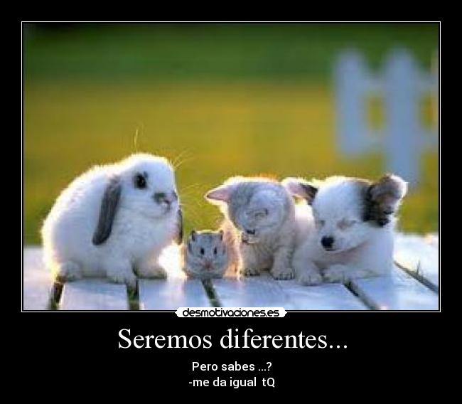 Seremos diferentes... - Pero sabes ...?
-me da igual tQ