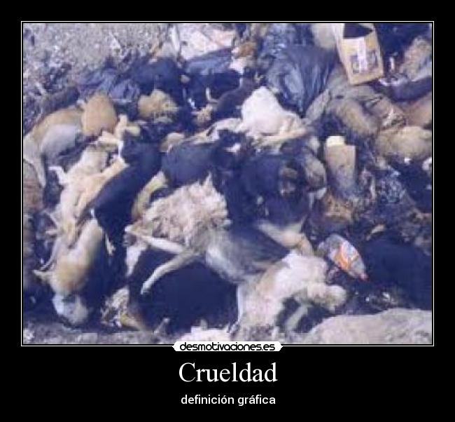 carteles lllllllllllllllllllllllll desmotivaciones