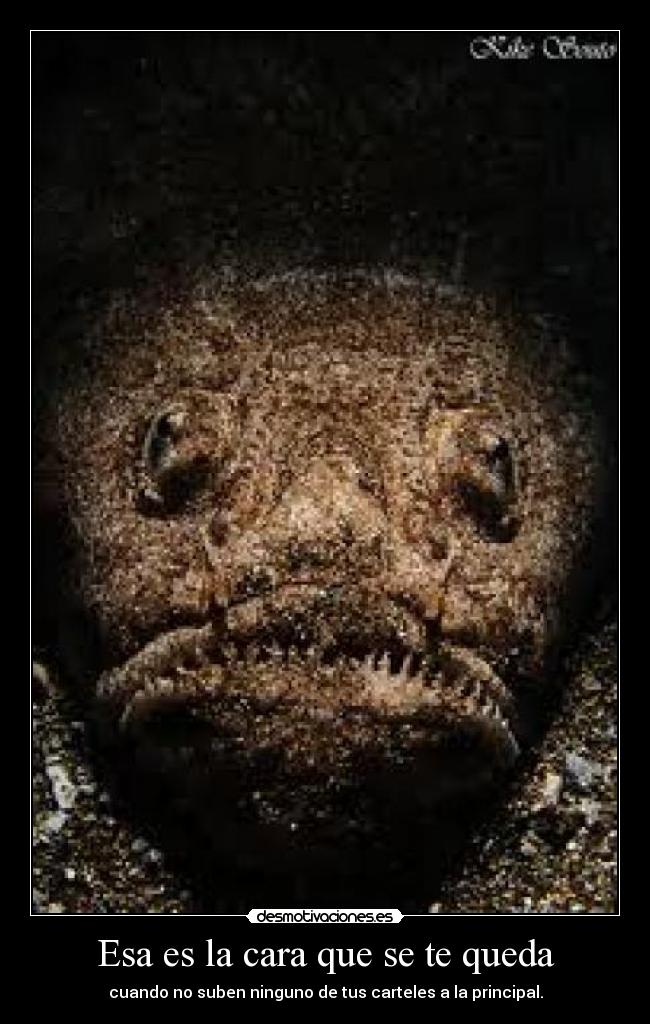 Esa es la cara que se te queda - cuando no suben ninguno de tus carteles a la principal.