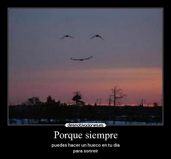 Porque siempre - 