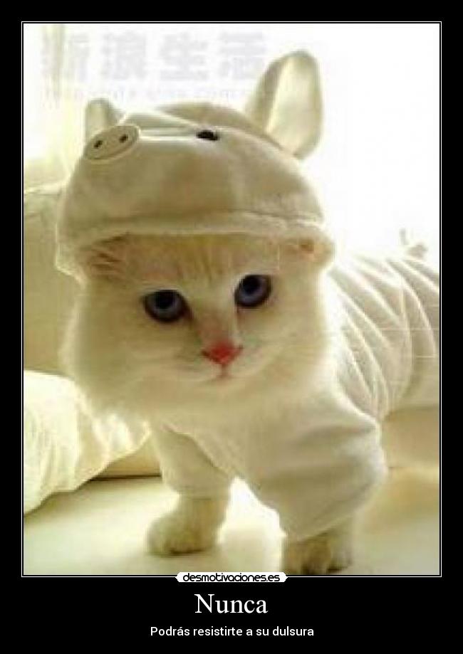 Nunca - 