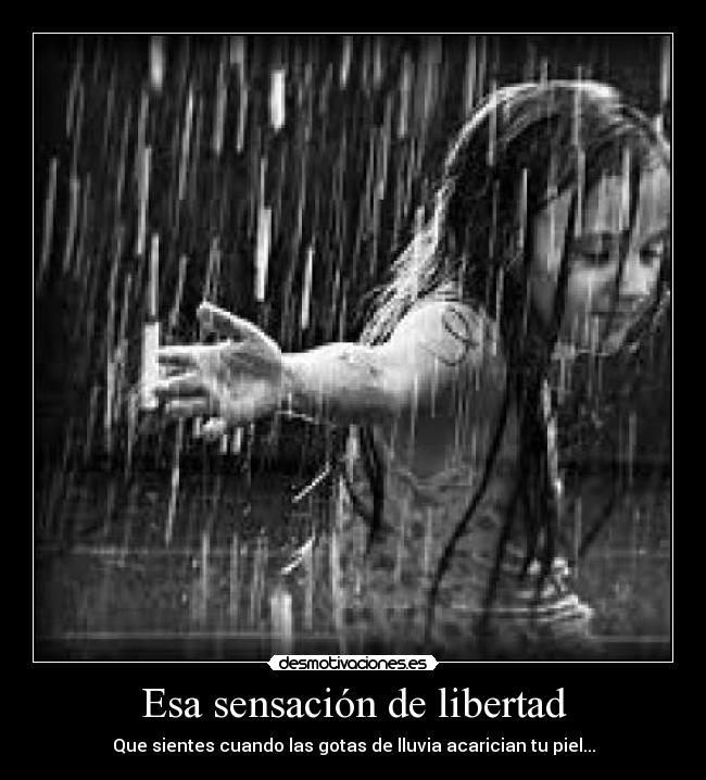 Esa sensación de libertad - 