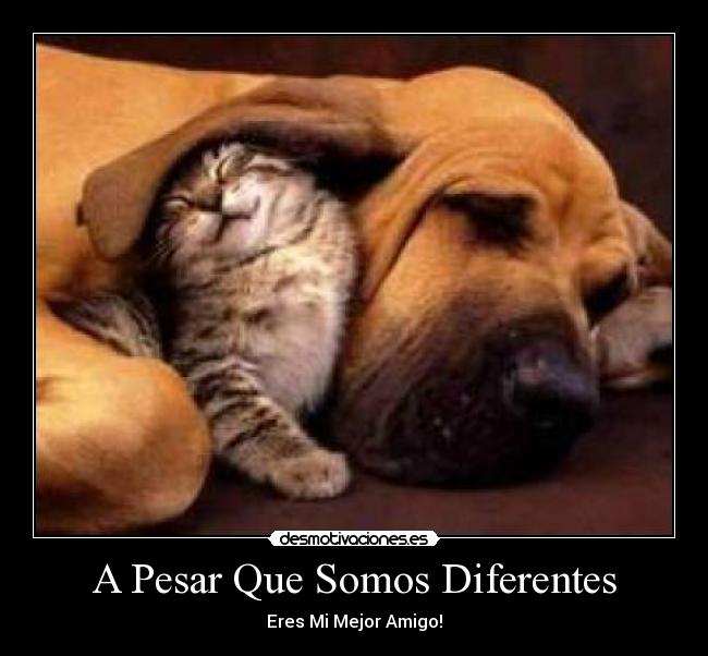 A Pesar Que Somos Diferentes -