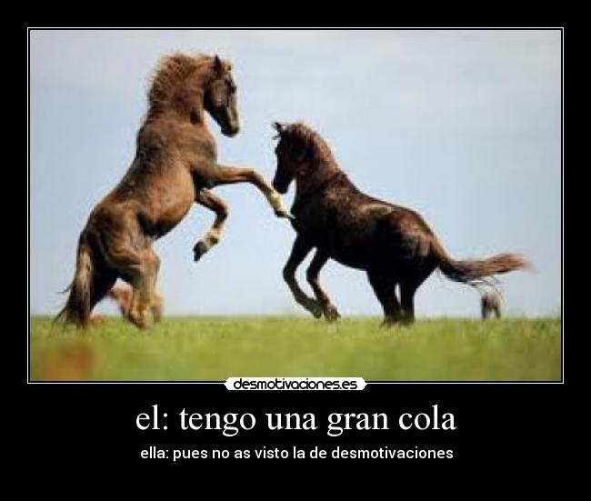 el: tengo una gran cola - 