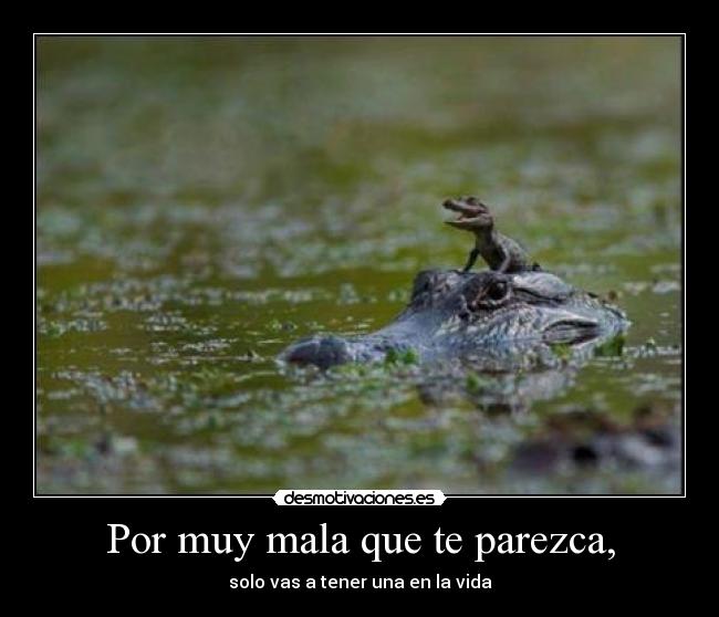 Por muy mala que te parezca, - 