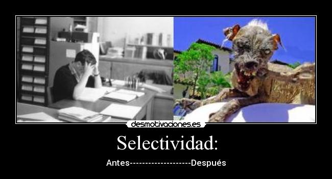 Selectividad: - Antes--------------------Después