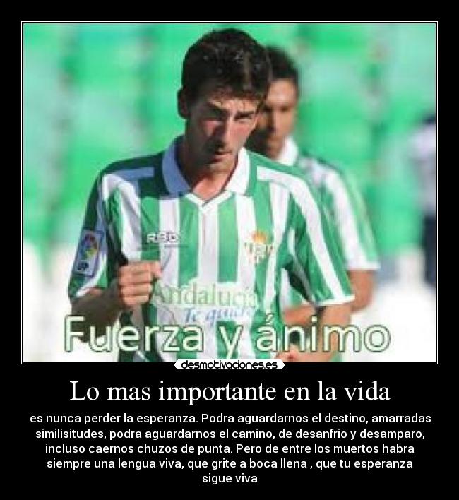 Lo mas importante en la vida - es nunca perder la esperanza. Podra aguardarnos el destino, amarradas
similisitudes, podra aguardarnos el camino, de desanfrio y desamparo,
incluso caernos chuzos de punta. Pero de entre los muertos habra
siempre una lengua viva, que grite a boca llena , que tu esperanza
sigue viva