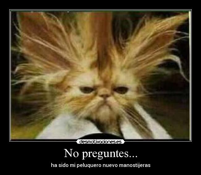 No preguntes... - 