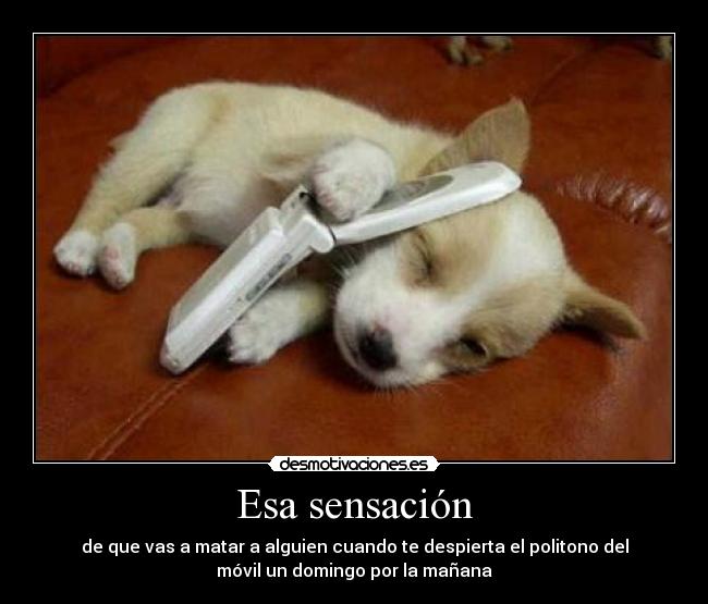 Esa sensación - de que vas a matar a alguien cuando te despierta el politono del
móvil un domingo por la mañana