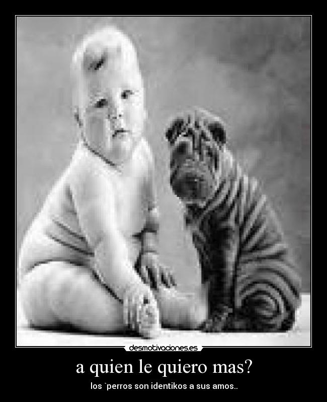 a quien le quiero mas? - los `perros son identikos a sus amos..