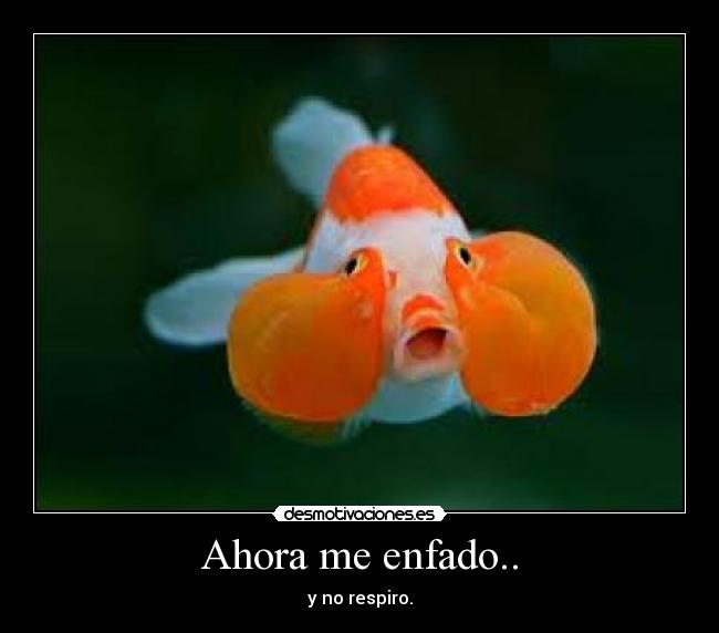 Ahora me enfado.. -