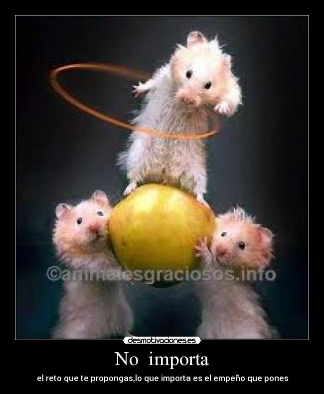 No  importa - el reto que te propongas,lo que importa es el empeño que pones