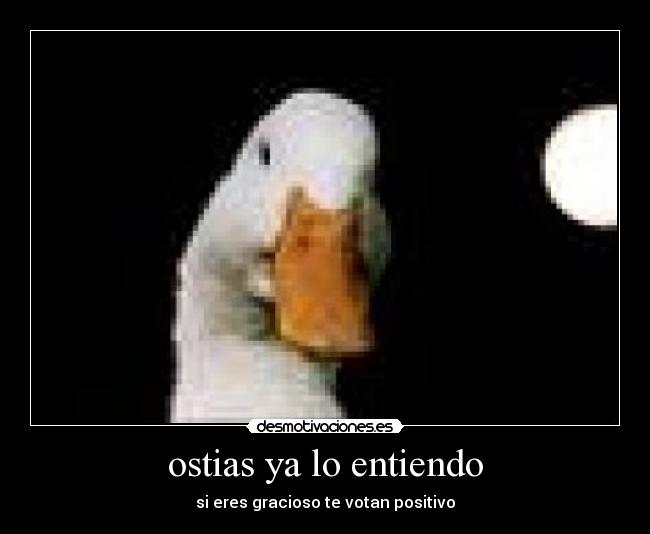 ostias ya lo entiendo -