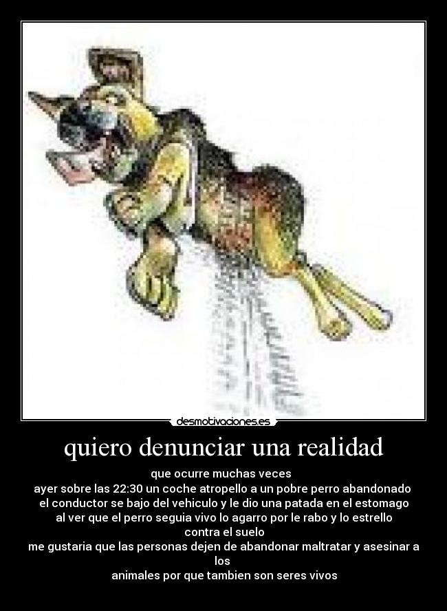 quiero denunciar una realidad -