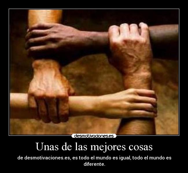 carteles 4666 desmotivaciones