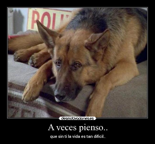 A veces pienso.. - que sin ti la vida es tan dificil..