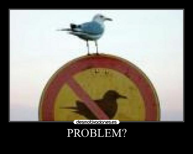 PROBLEM? -