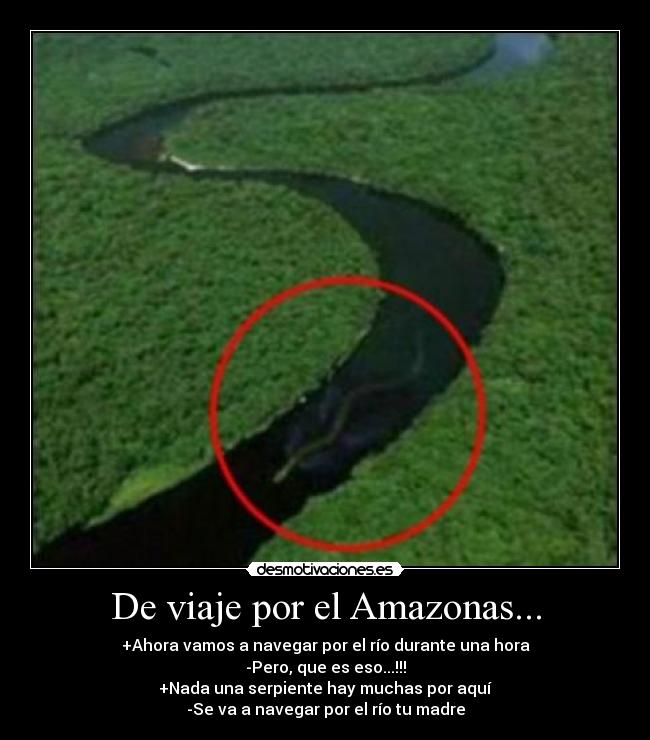 De viaje por el Amazonas... - +Ahora vamos a navegar por el río durante una hora
-Pero, que es eso...!!!
+Nada una serpiente hay muchas por aquí
-Se va a navegar por el río tu madre