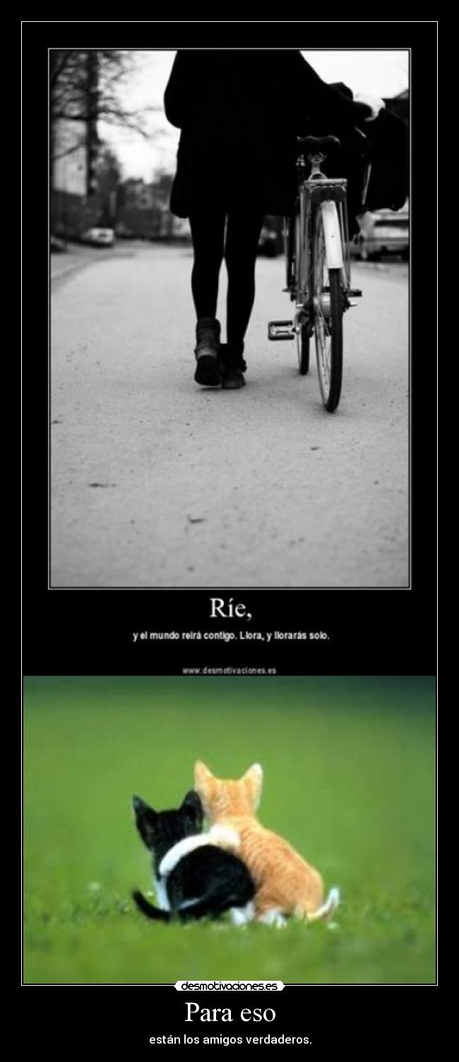 Para eso - están los amigos verdaderos.