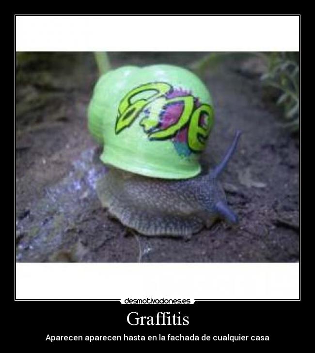 Graffitis - 
