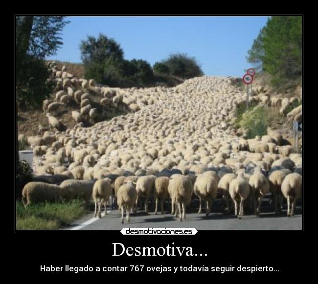 Desmotiva... - Haber llegado a contar 767 ovejas y todavía seguir despierto...