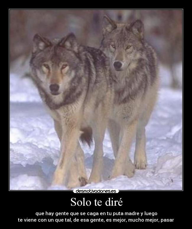 carteles lobo desmotivaciones