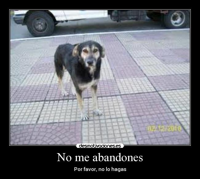 No me abandones - 