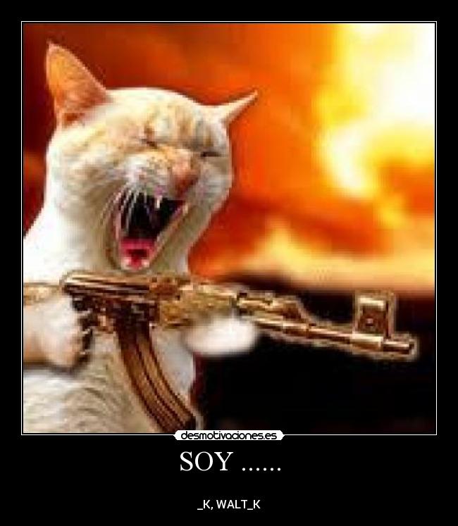 SOY ...... - 
_K, WALT_K