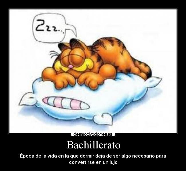 Bachillerato - Época de la vida en la que dormir deja de ser algo necesario para
convertirse en un lujo