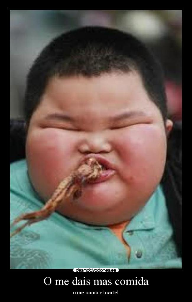 carteles comida gordo desmotivaciones