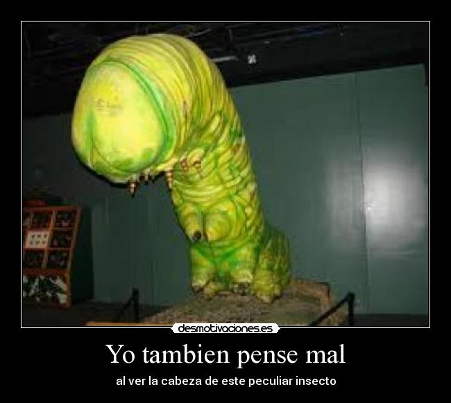 Yo tambien pense mal -