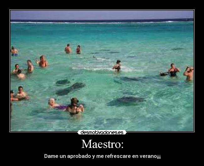 Maestro: - Dame un aprobado y me refrescare en verano¡¡¡