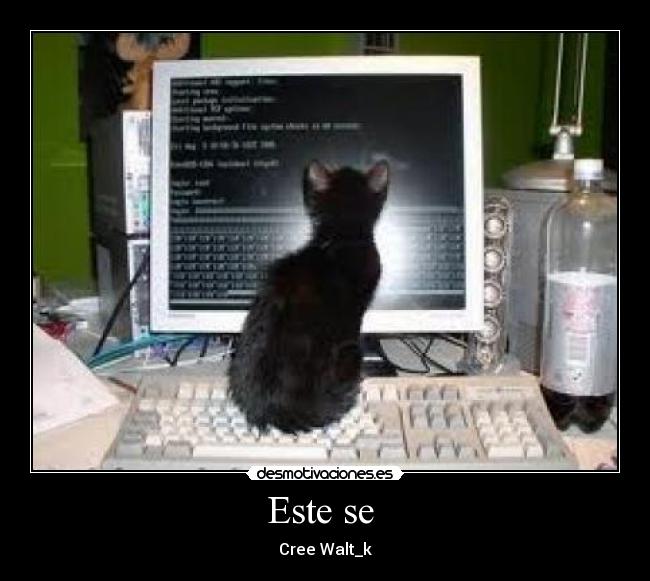 Este se - Cree Walt_k