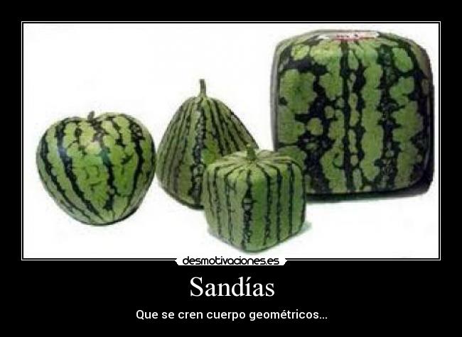 Sandías - Que se cren cuerpo geométricos...