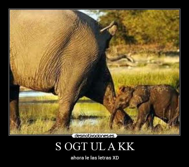 S OGT UL A KK - ahora le las letras XD