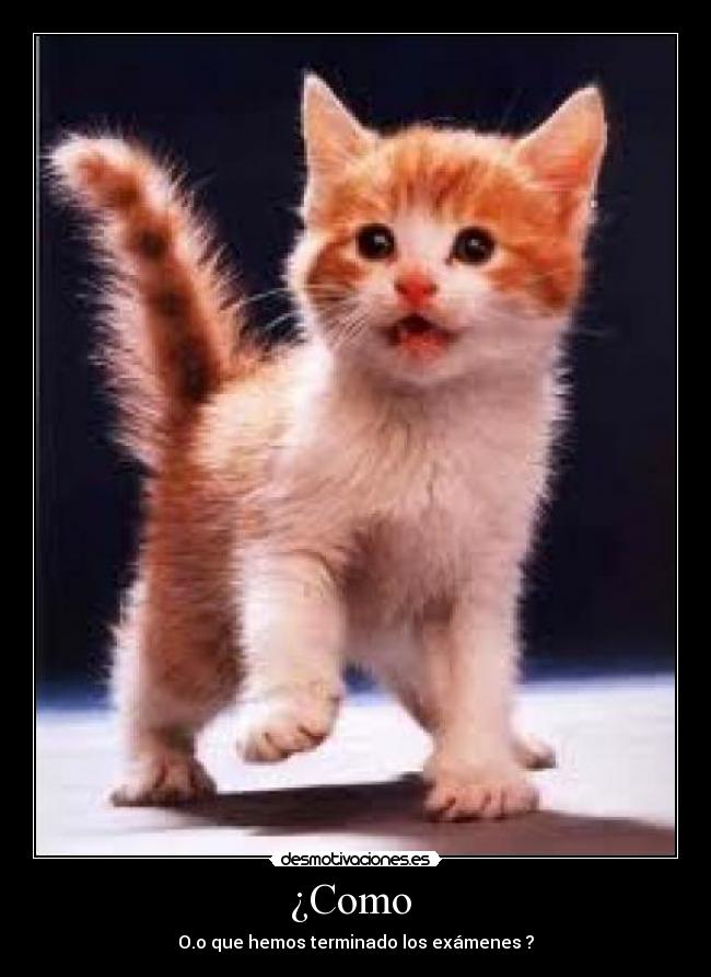 ¿Como  - 