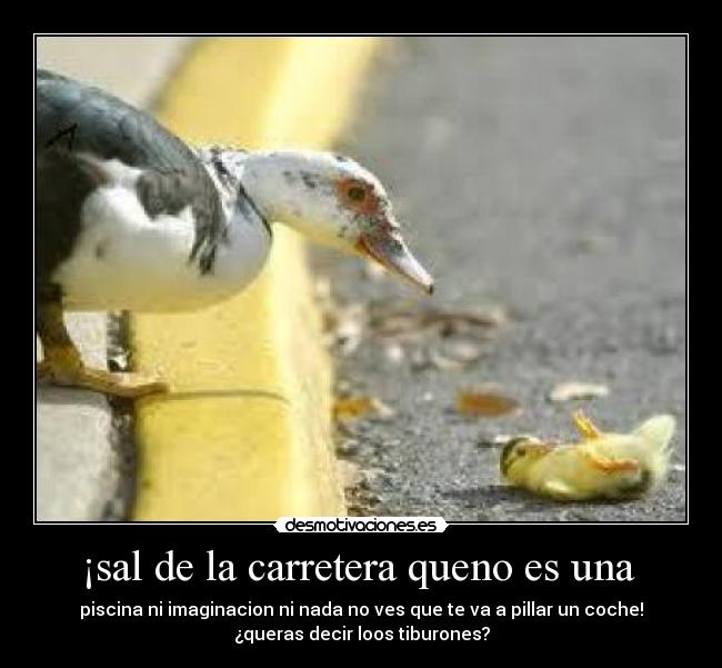 ¡sal de la carretera queno es una  - 
