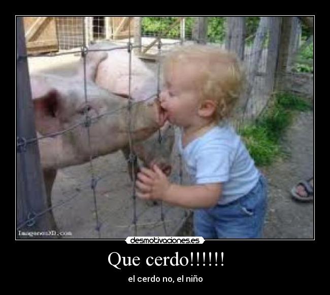 Que cerdo!!!!!! - 