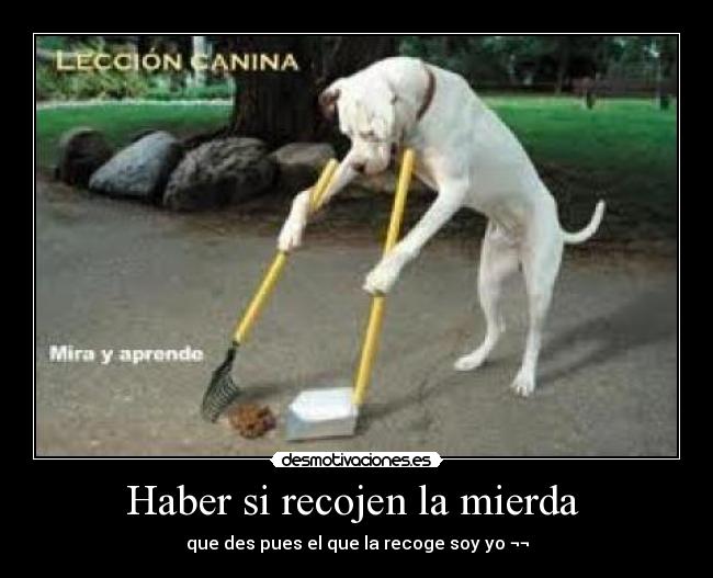 Haber si recojen la mierda -