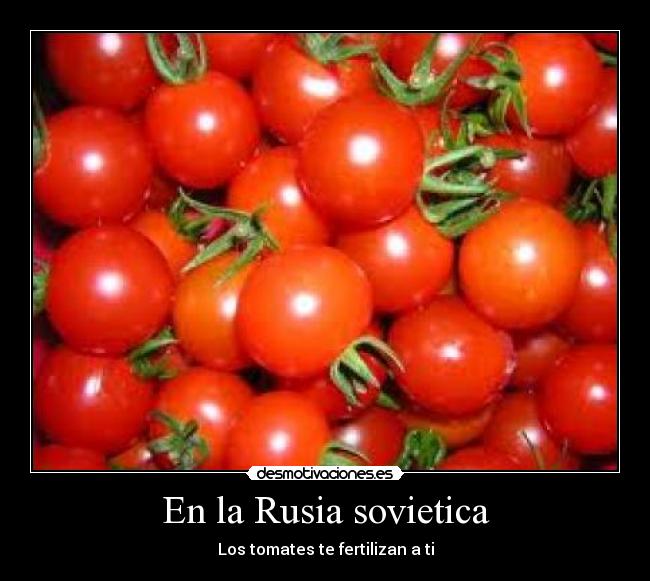 En la Rusia sovietica - Los tomates te fertilizan a ti