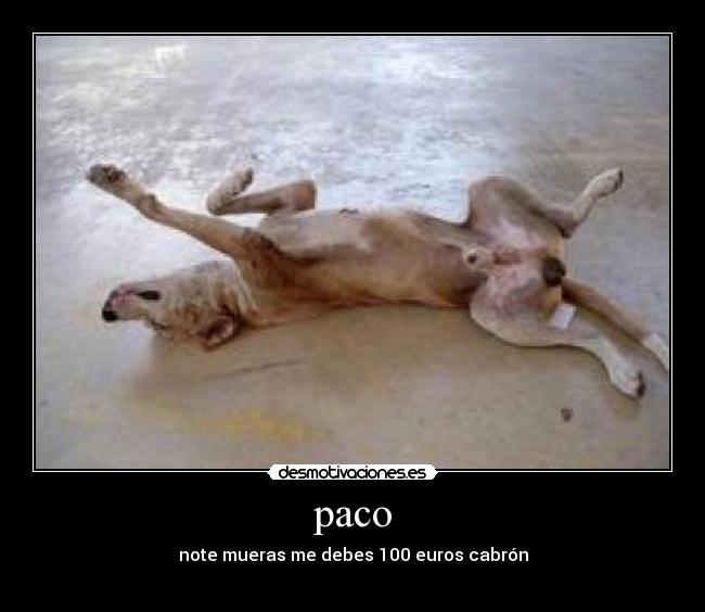 paco - note mueras me debes 100 euros cabrón
