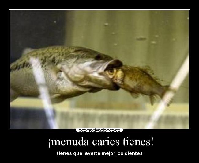 carteles pez caries dentista desmotivaciones