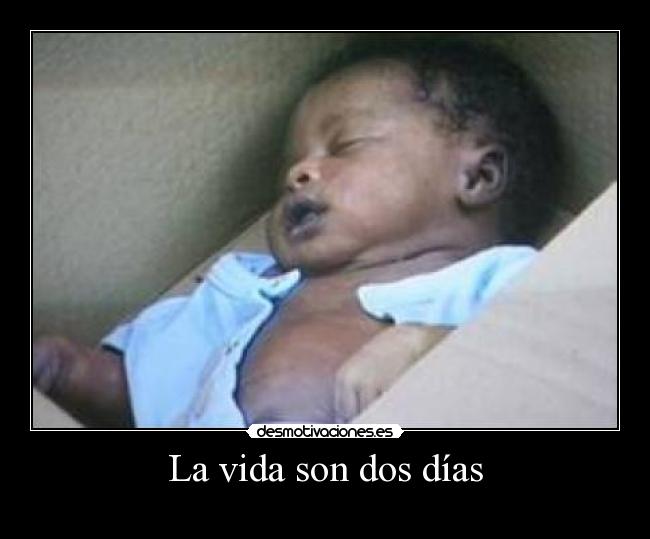 La vida son dos días -