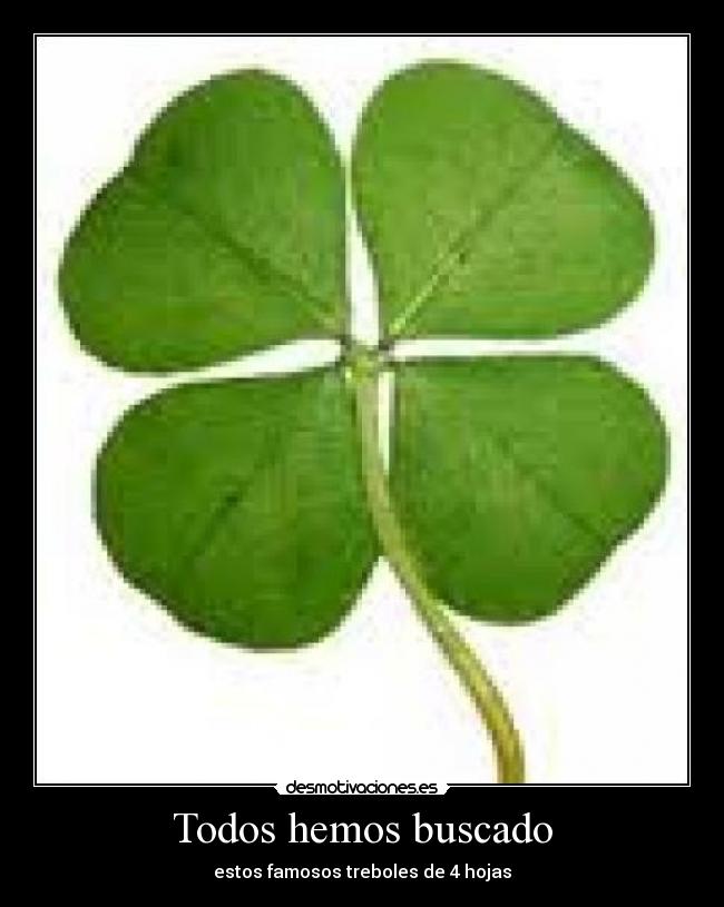 carteles jaimejc9 desmotivaciones