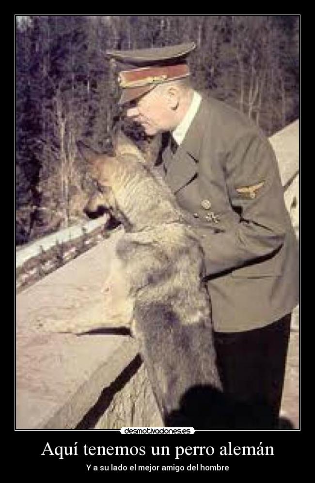 Aquí tenemos un perro alemán - Y a su lado el mejor amigo del hombre